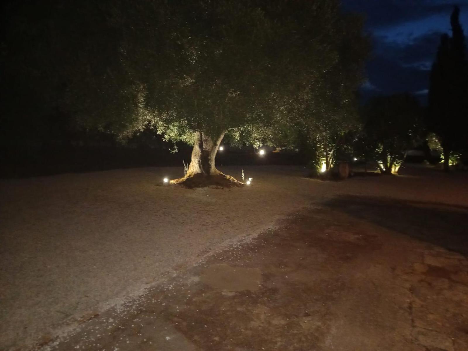 Casina Tra Gli Ulivi Villa Ostuni Exterior foto